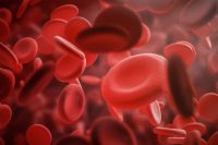 Single-shot COVID-19 vaccine proves successful with primates